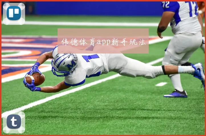 伟德体育app新手玩法