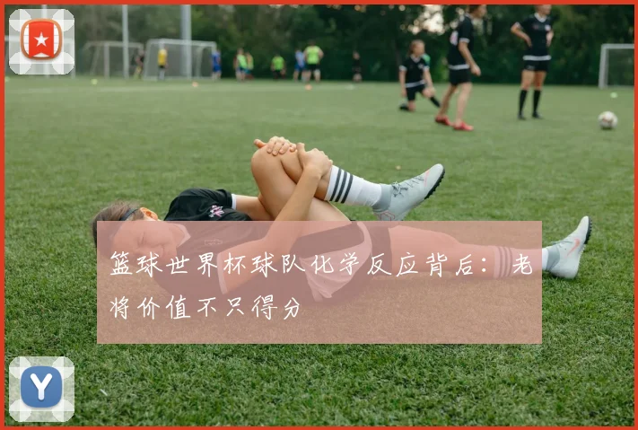 篮球世界杯球队化学反应背后：老将价值不只得分