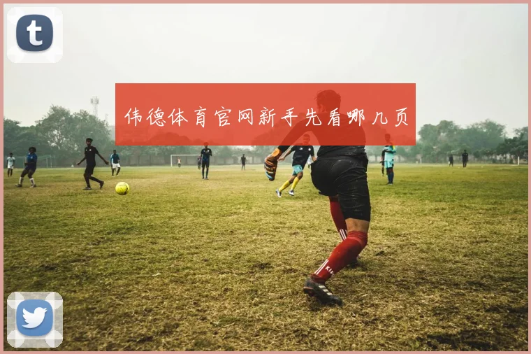 伟德体育官网新手先看哪几页